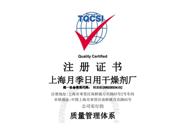 ISO9001 中文